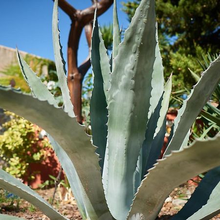 Апартаменти Jardin De Palme La Palme Екстер'єр фото