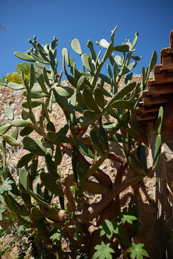 Апартаменти Jardin De Palme La Palme Екстер'єр фото